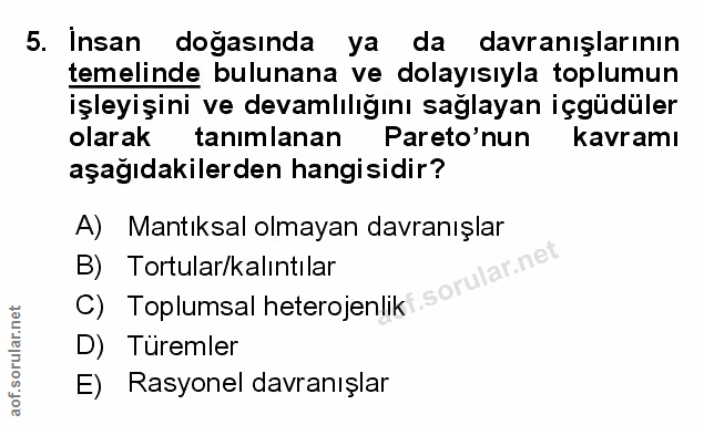 Soru 5
