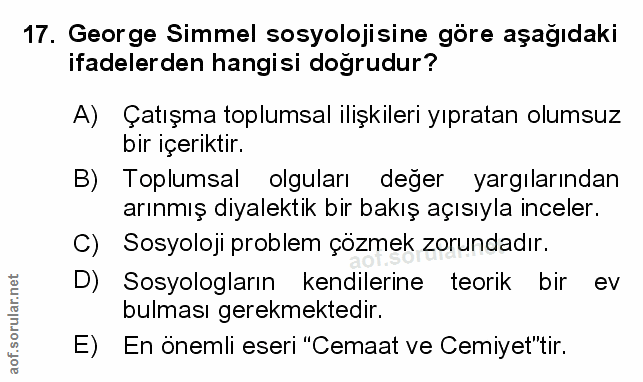 Soru 17