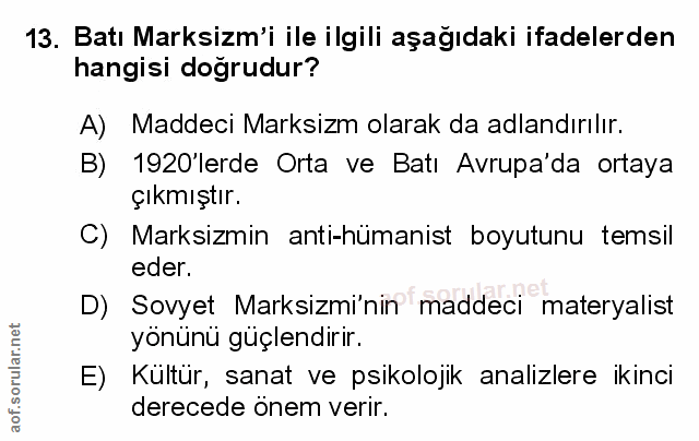 Soru 13