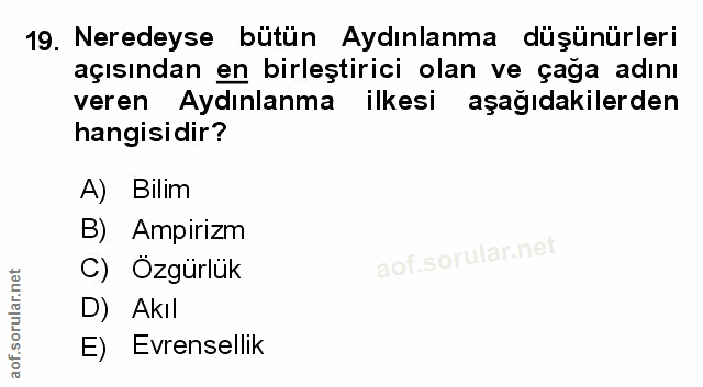 Soru 19