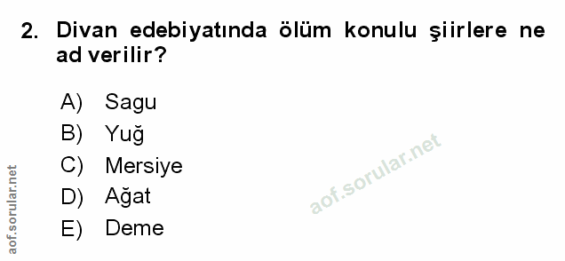 Soru 2