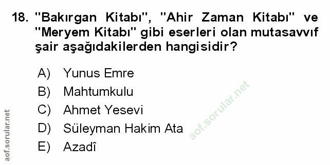 Soru 18