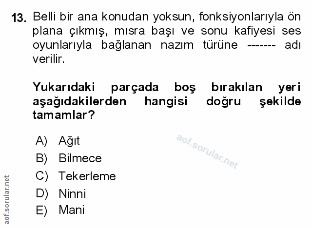 Soru 13