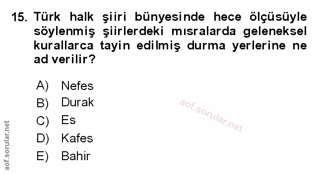 Soru 15