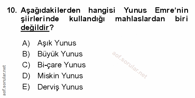 Soru 10