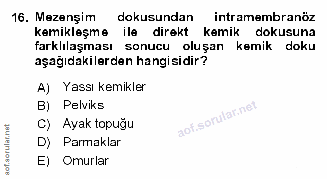 Soru 16
