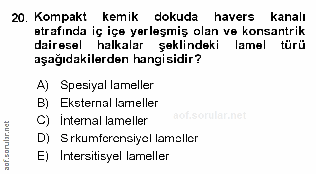 Soru 20