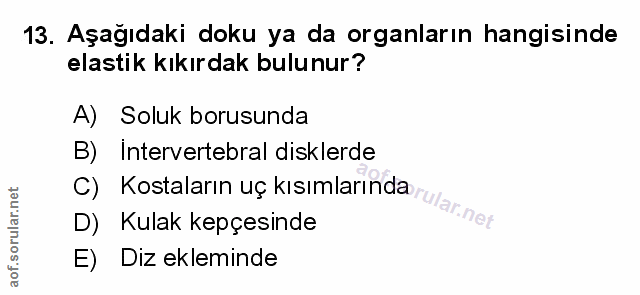 Soru 13