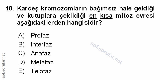 Soru 10