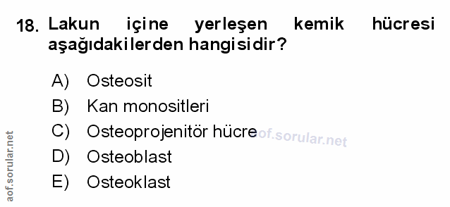 Soru 18