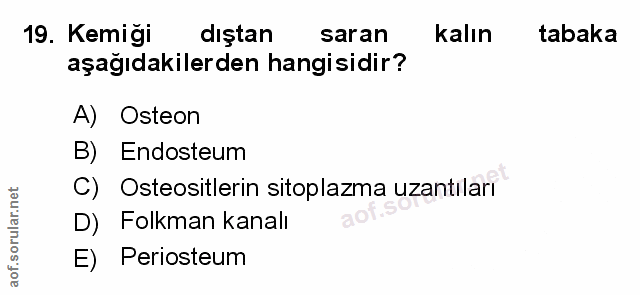 Soru 19