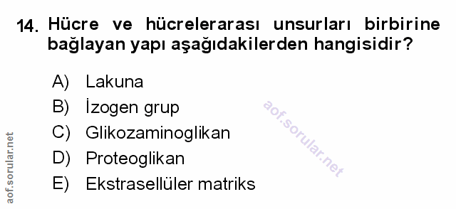 Soru 14