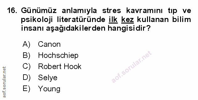 Soru 16