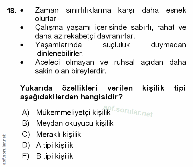 Soru 18