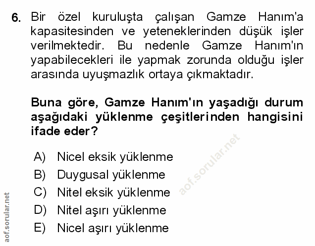 Soru 6