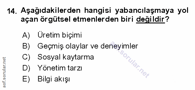Soru 14
