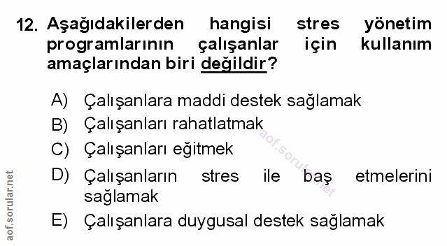 Soru 12