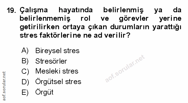 Soru 19