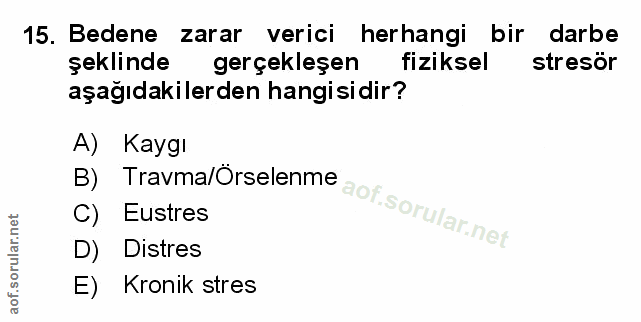 Soru 15