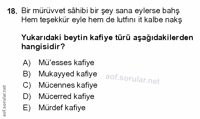 Soru 18