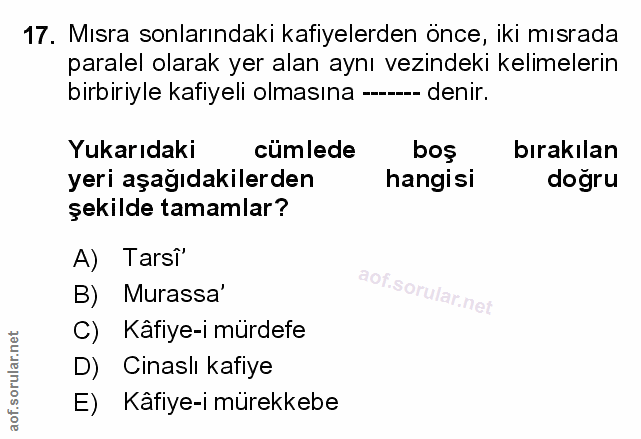 Soru 17
