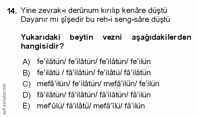 Soru 14