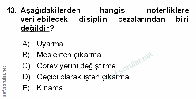 Soru 13