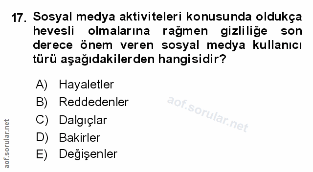 Soru 17