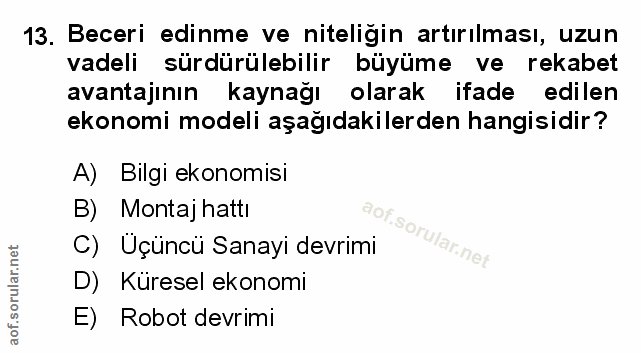 Soru 13