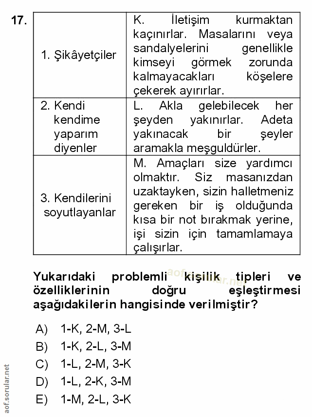 Soru 17