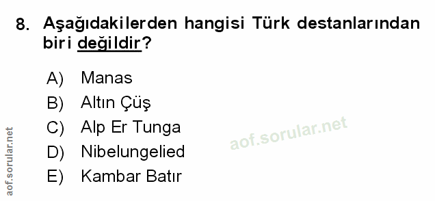 Soru 8