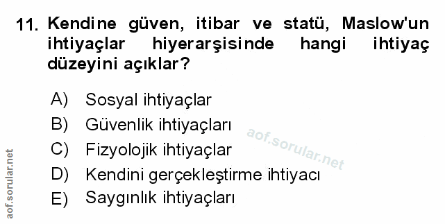 Soru 11