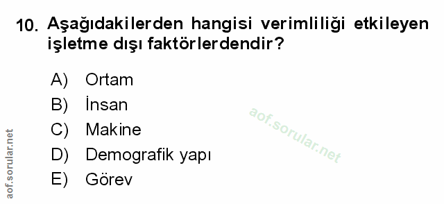 Soru 10