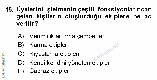 Soru 16