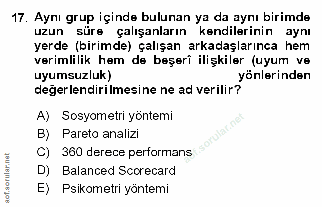 Soru 17