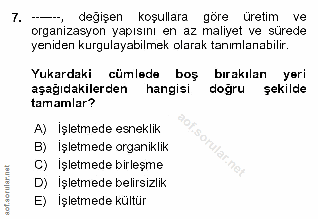 Soru 7