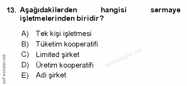 Soru 13