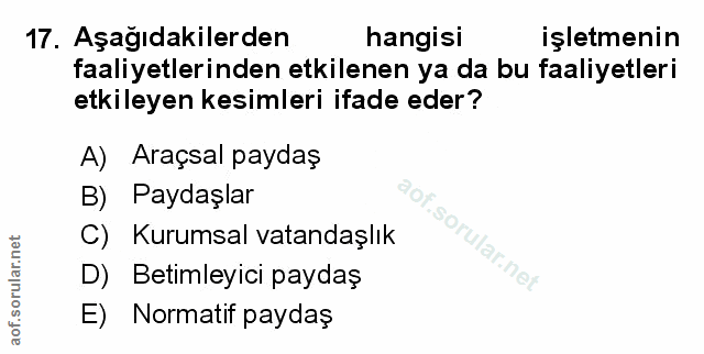 Soru 17