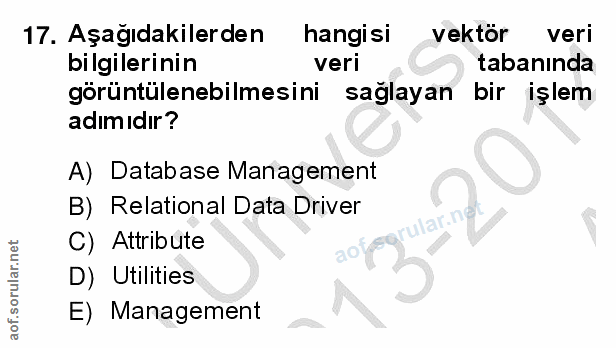 Soru 17
