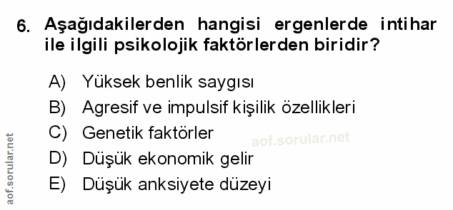 Soru 6