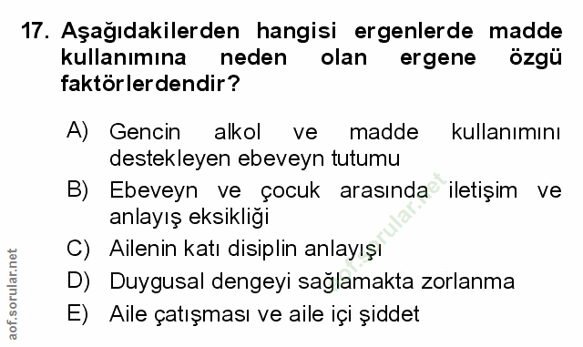 Soru 17