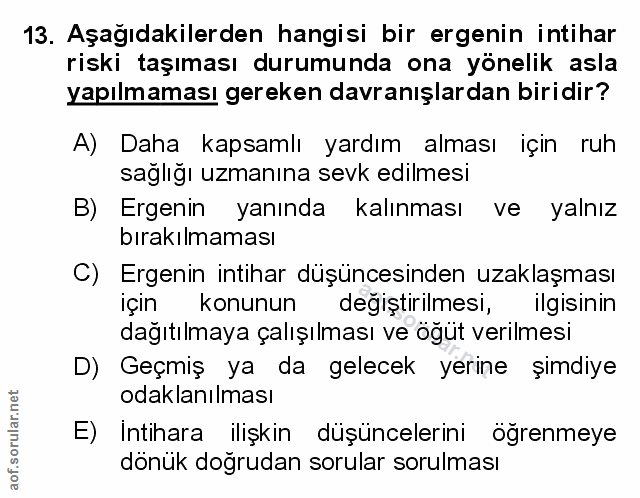 Soru 13