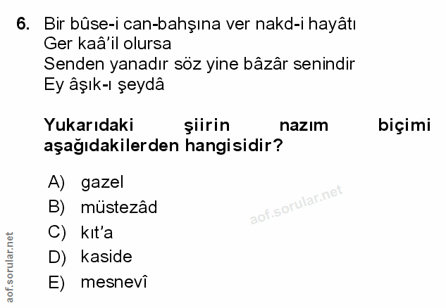Soru 6