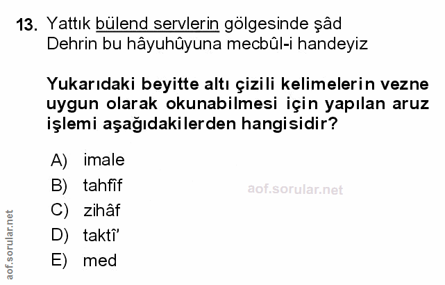 Soru 13