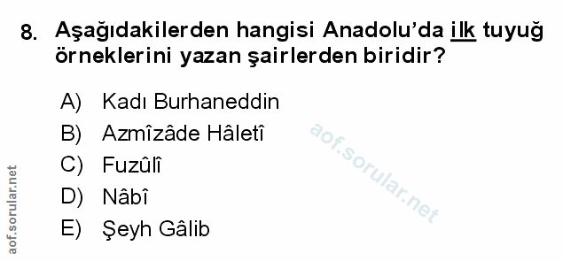 Soru 8