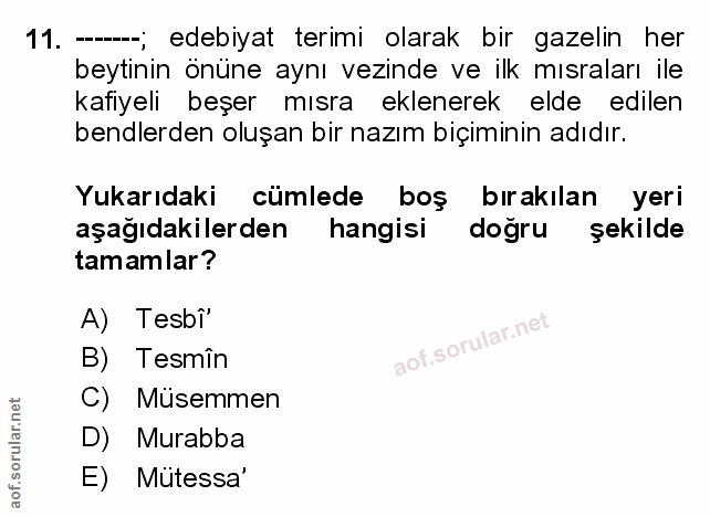 Soru 11