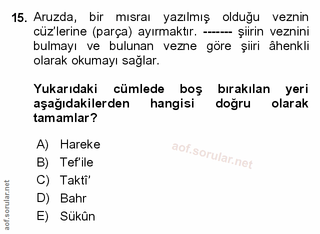 Soru 15