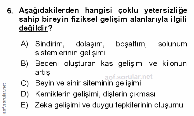 Soru 6