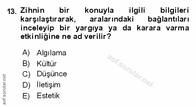 Soru 13