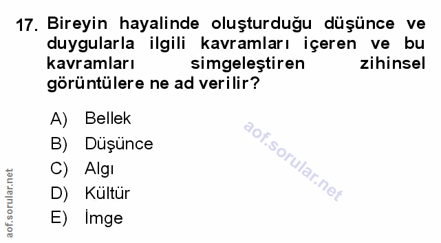 Soru 17
